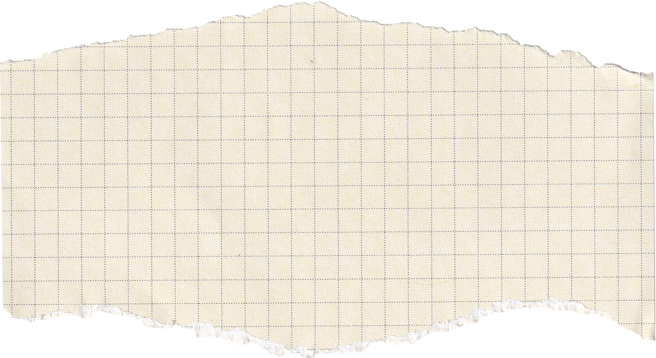 Torn Graph Paper