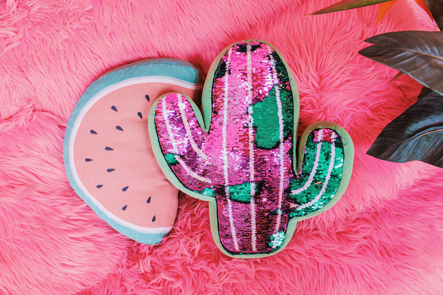 Watermelon and Cactus Plushie on Pink Rug