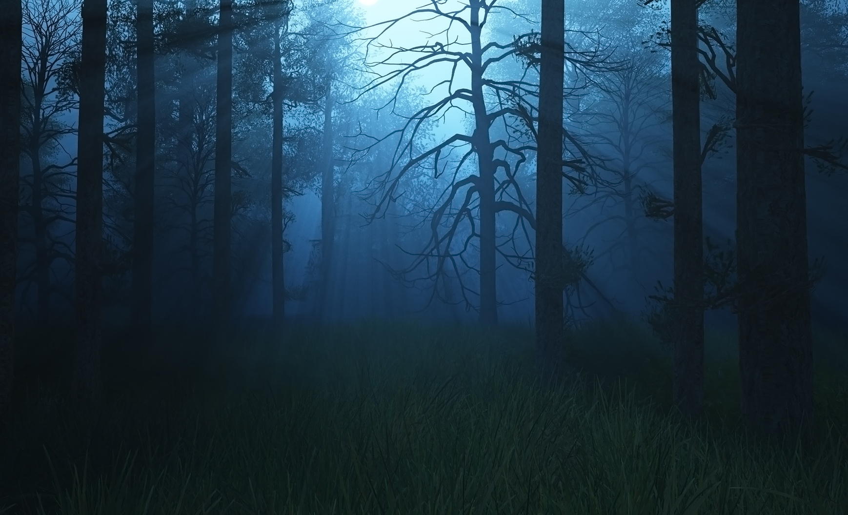 Dark Woods